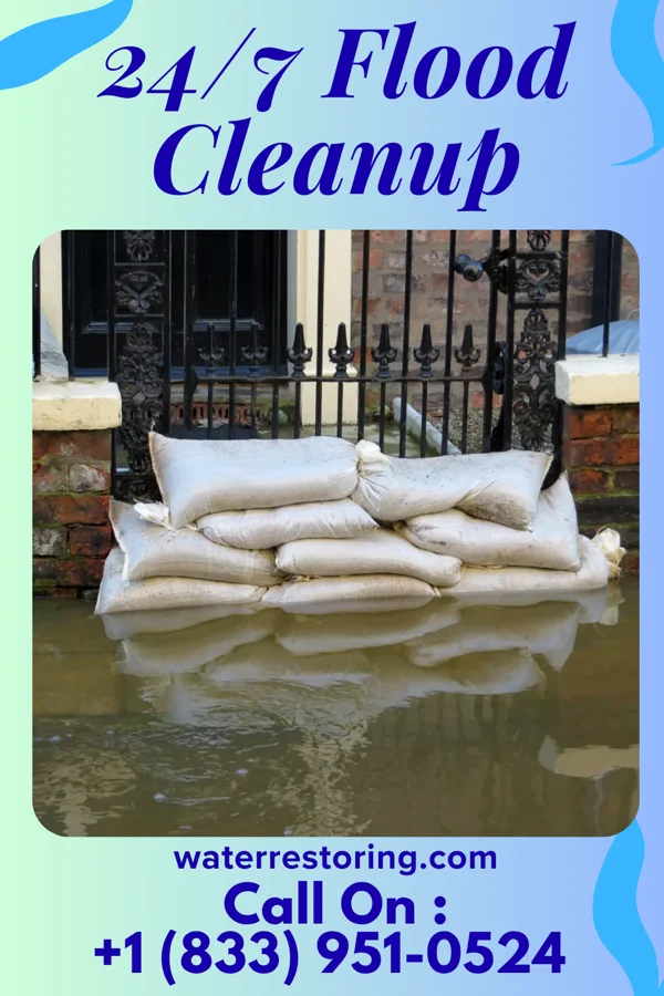 24/7 Flood Cleanup in Downsville, LA