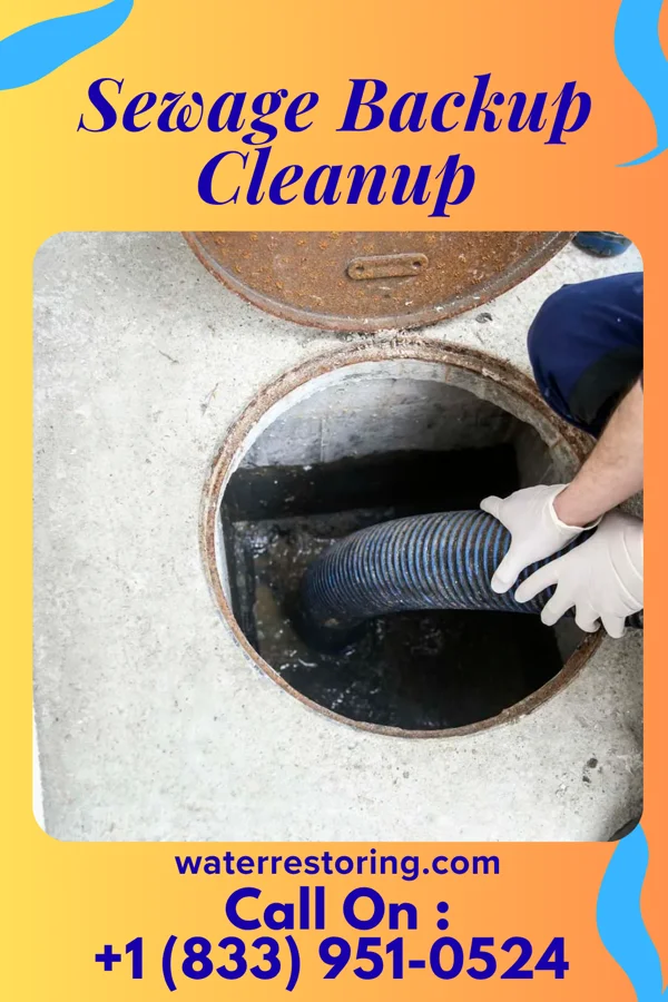Sewage Backup Cleanup in Downsville, LA
